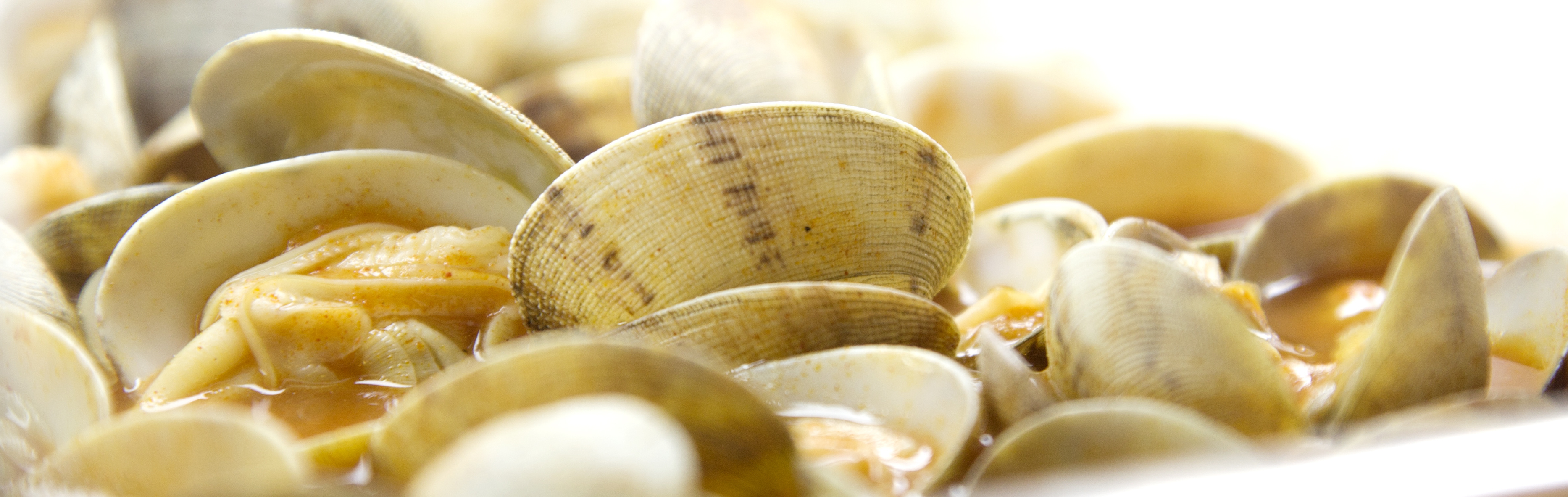 Galway Oyster Festival